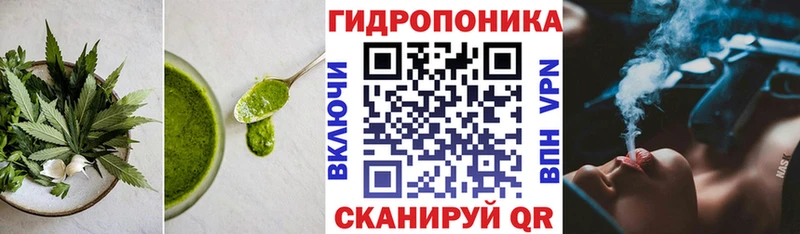 Купить где  Балашов  Cannafood конопля 