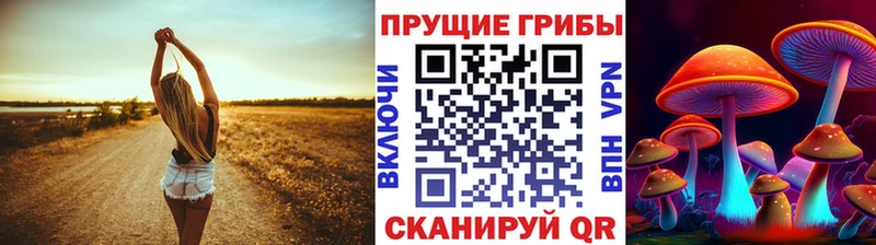 Псилоцибиновые грибы Magic Shrooms  Купить где  Балашов 